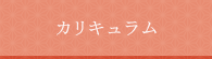 カリキュラム